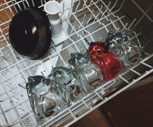 Kittens sleeping the night in the dishwasher. Soon these will be on my etsy, I&rsquo;m actually 