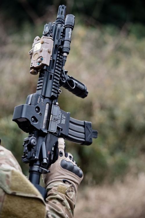 assaultbeararms:Awesome Guns and Stuff