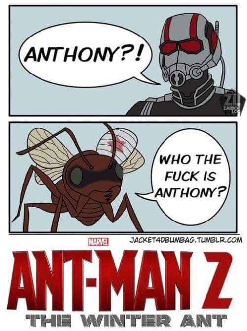 ant man 2