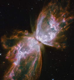 kusta-astronaut:  Nebulosa Mariposa