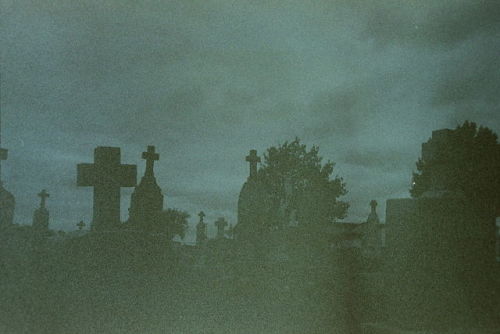 insects-in-every-hole: Catholic Cemetery in Lindsay, Texas, 9/18