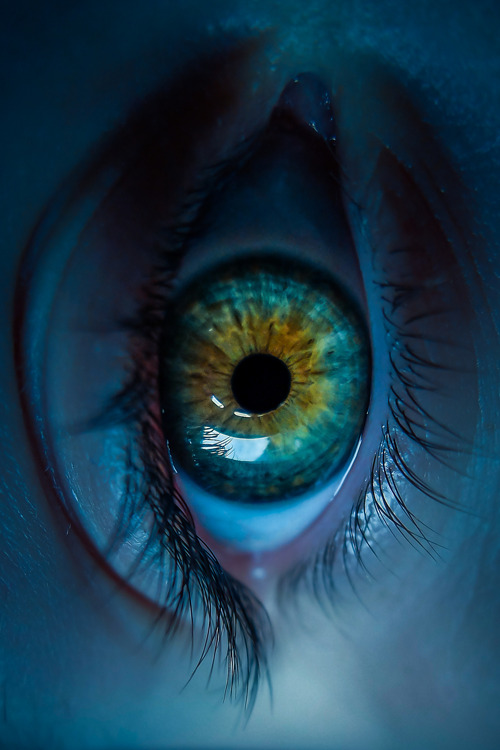 plasmatics-life:  Colours in the Eye ~ By Simon Flint 