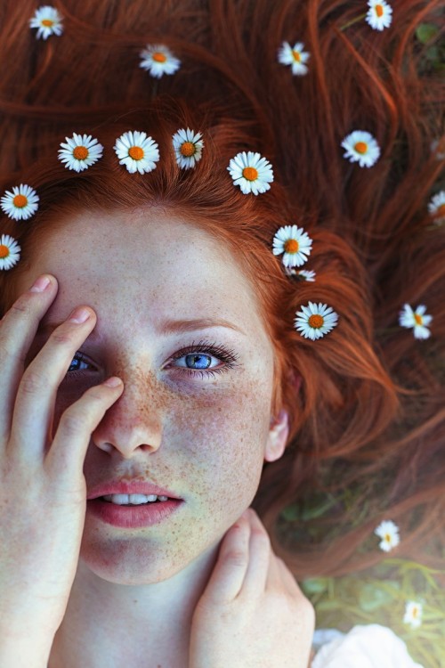 howtomasturbate:  Freckled daisies.