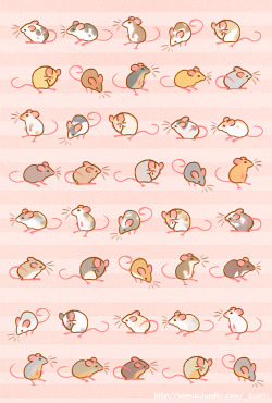 komiti:  Many many mice! 