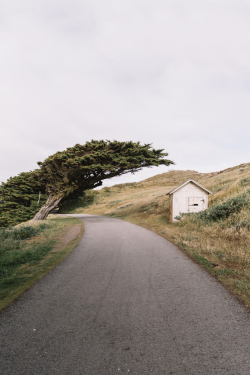 “Point Reyes in Northern California.”Website | Instagram | Twitter | Tumblr