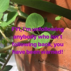 I know if they aren’t following this they won’t see it but I felt the need to get it off my chest 🤘🏼🤪🤘🏼   #cleaningup #springcleaning #unfollowingspree  https://www.instagram.com/p/Bud2WQiFE_A/?utm_source=ig_tumblr_share&amp;igshid=4a2a7u8dj479