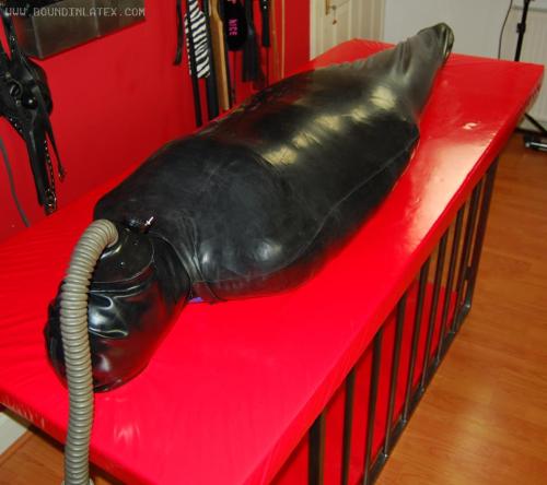 smbdboi: gummigimp: rubber worm preparation Wow!