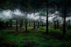 culturenlifestyle:  Mystical Photos of Illuminated