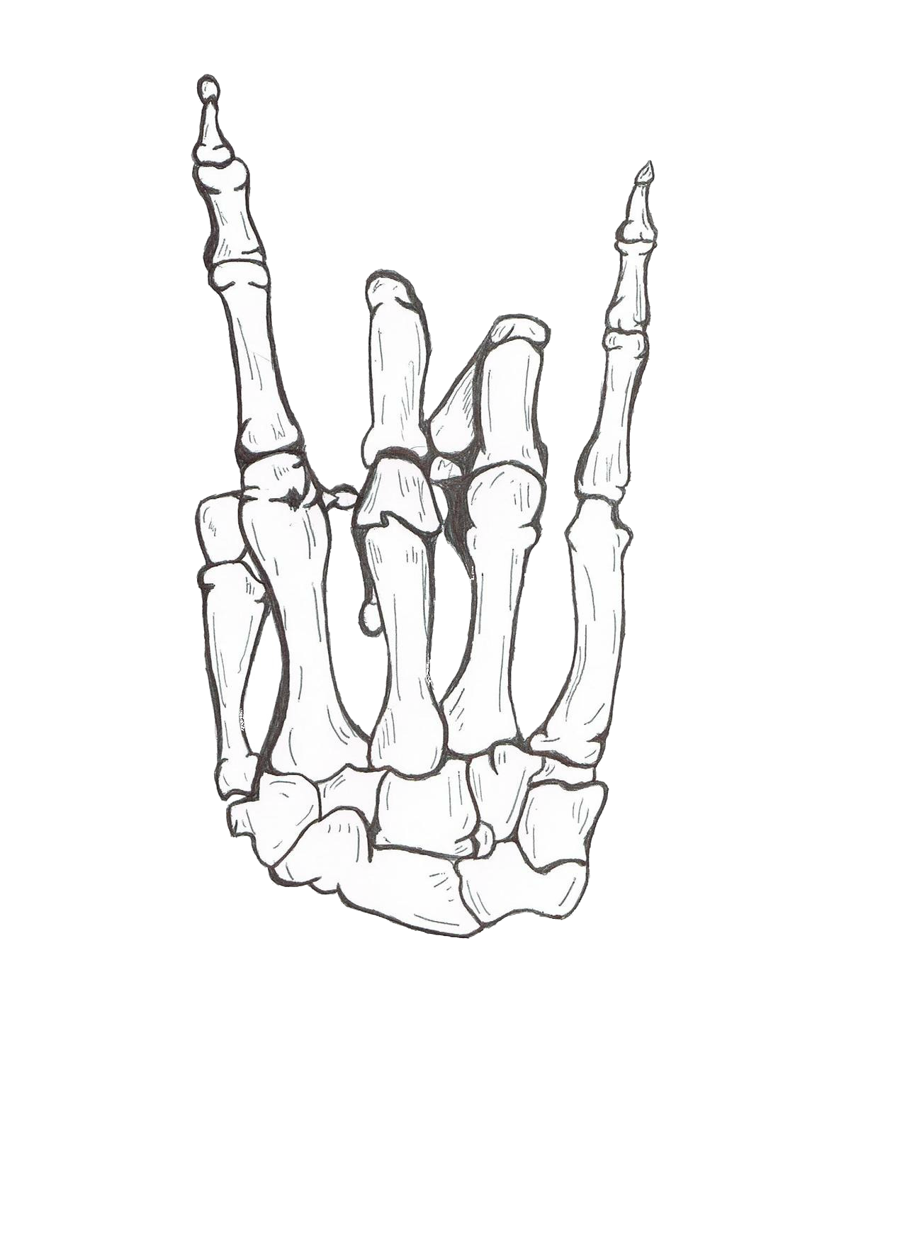 transparencied:  (transparent) 