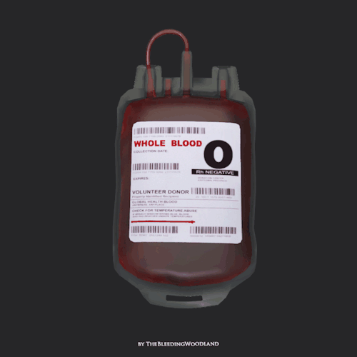 TS3 - Blood Bag As Decoration