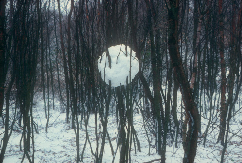 cosmicscripts:  Snow and ice sculptures by Andy Goldsworthy