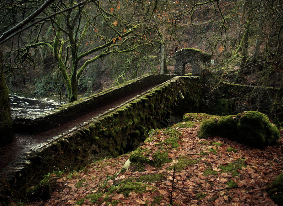 thefilterblog:  The Hermitage Bridge At Ossian’s Hall by Tamas Katai http://flic.kr/p/aMGYHp