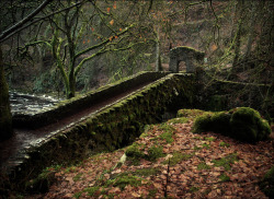 thefilterblog:  The Hermitage Bridge At Ossian’s Hall by Tamas Katai http://flic.kr/p/aMGYHp 