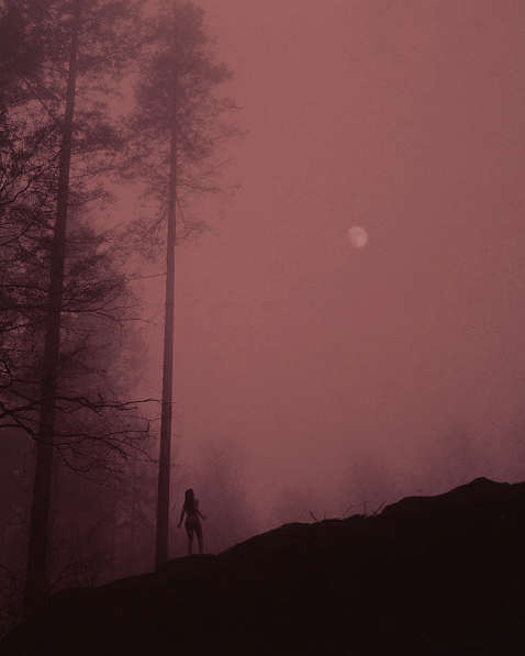 arcusxx:photography by Nona Limmen