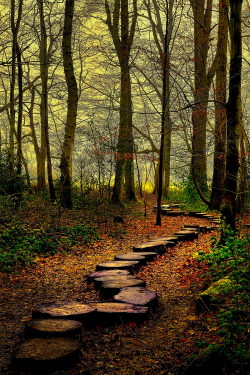 plasmatics-life:  Into the Woodland ~ By