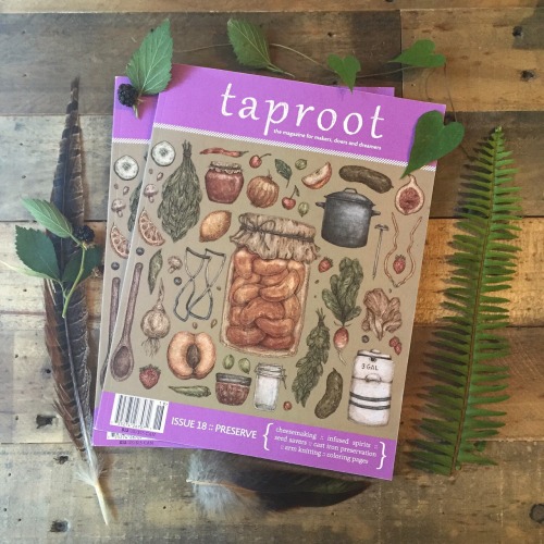 The most recent issue of Taproot Magazine and my most recent cover illustration! You can find PRESER