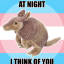 gayboybeetle