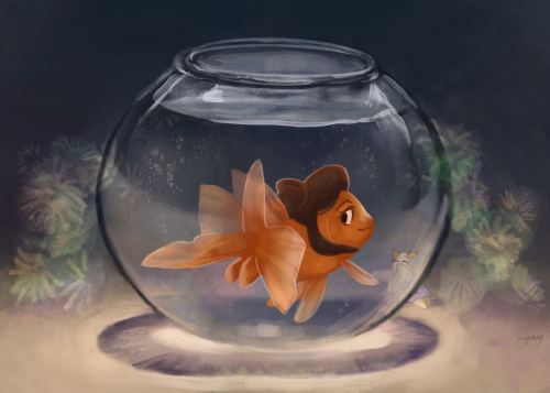 Summer!~ The Season For Goldfish