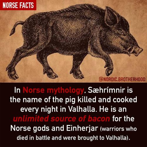 Follow ▶️ @nordic.brotherhood for more Norse Facts! ⠀ ⠀ ⠀ #aesir #asgard #midgard #nordicbrotherhood