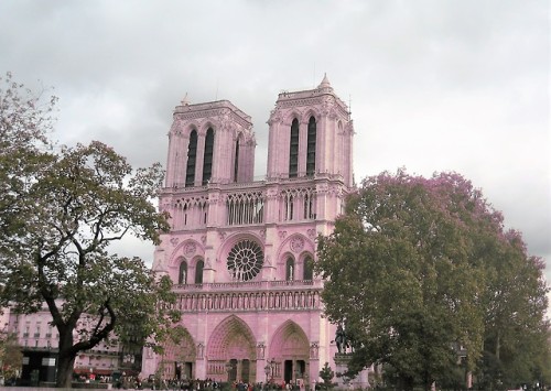 A wonderful memory of a trip to Paris. Notre Dame de Paris.