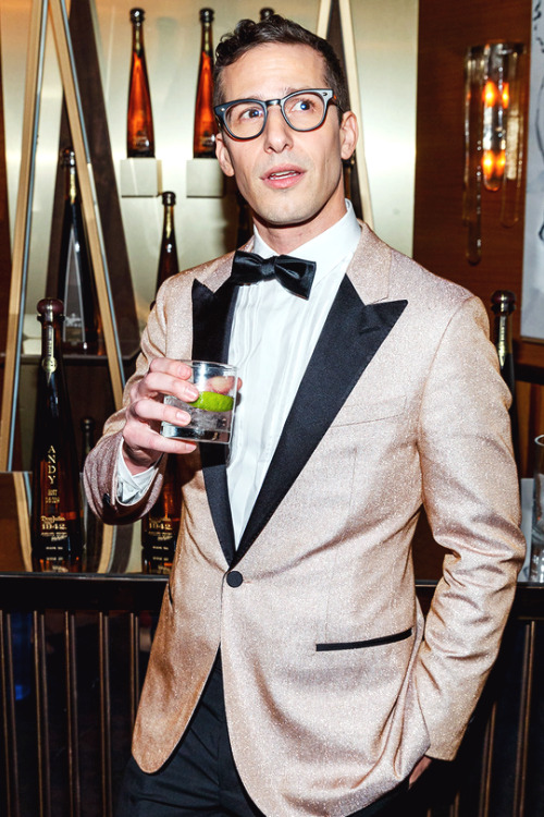 ANDY SAMBERG76th Annual Golden Globes Private Party, California (January 6, 2019).