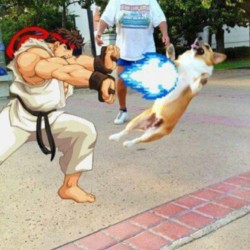 elbrutoepico:  thisisviiic:  Hahahaha thanks @gutznglory14 #ryu #wondercon #lol (at Northridge, CA)  Aaaaajajajajajajajajajaja