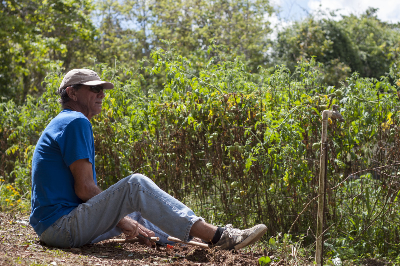 humanosdepuertorico:  “Yo crecí en Isla Verde cuando aún era campo y estaba lleno