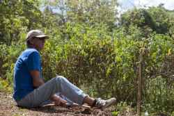 humanosdepuertorico:  “Yo crecí en Isla Verde cuando aún era campo y estaba lleno de cangrejos. También había una tiendita llamada ‘La Sorpresa’.”