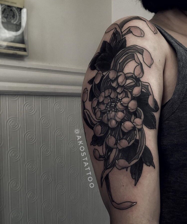 Black Chrysanthemum Tattoo  ApolloBox