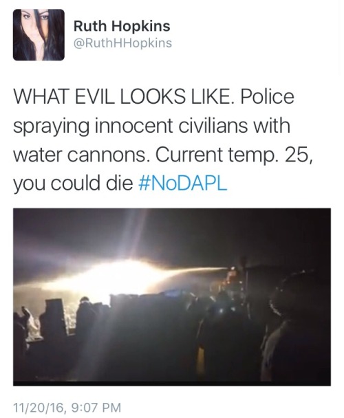 ndndoll: 400 DAPL protesters ‘trapped on bridge’ as police fire tear gas, water cannon (