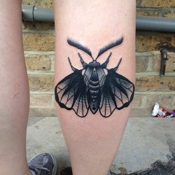 scottmove:  Moth for Ellie, thanks again. (at 👀info@scottmove.co.uk) 