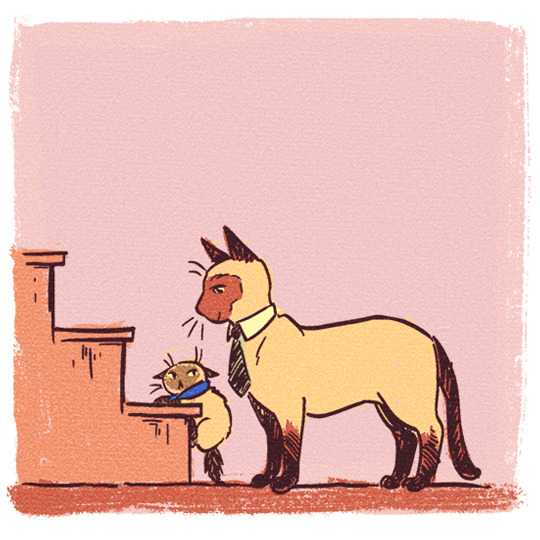 katzensprotte:*screams*