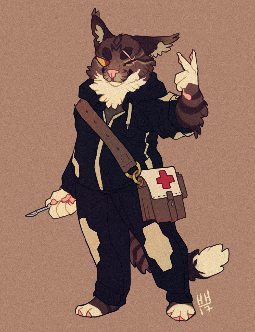 hyaenahysterics:the combat medic  This is like, the best thing I’ve seen all day