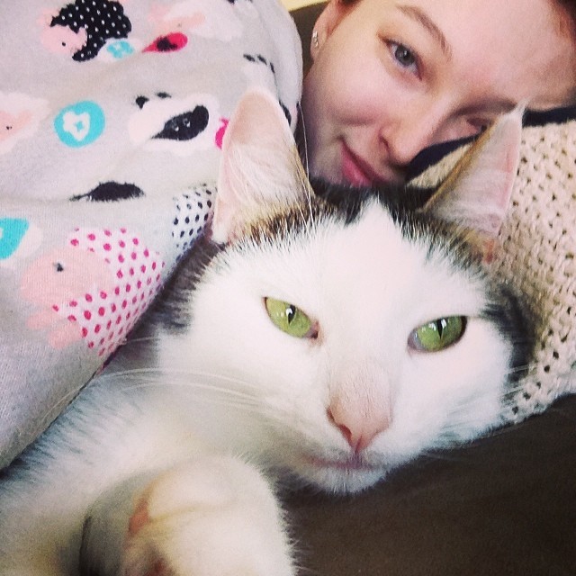 Cuddling with my boo. I love him!! #cat #kitty #kittycuddles #kittylove #catsofinstagram #love #greeneyes