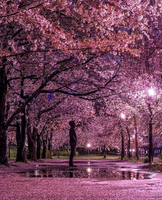 daddiekyle:  vicloud:For this reason I love Japon @deafkinkygirl.. i know you love
