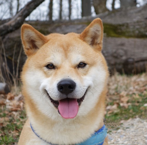 smiling Taka (May, 2014)
