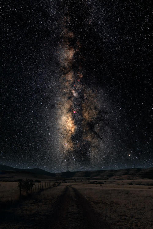 aviatinq:  Texas Milky Way 2 by Larry Landolfi on 500px   Texas best