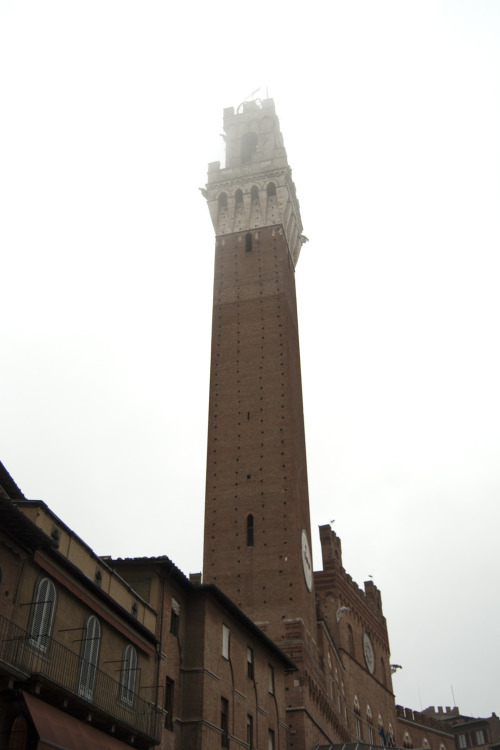 Siena. El Campo. City Tour. Siena Cathedral.