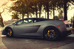 johnny-escobar:  Matte Grey Gallardo 