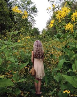 floralwaterwitch:  ~ a few weeks ago Troy took me to this little forest with a river and a field of these wildflowers which were taller than I am! 🙈🌻✨ 