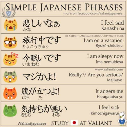 valiantschool: November 16th to 20th OnlyDownload over 80+ of our Japanese Phrases and Diagram flash