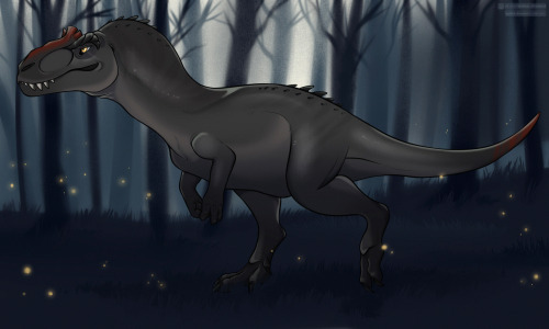 kpbica-dinozevr