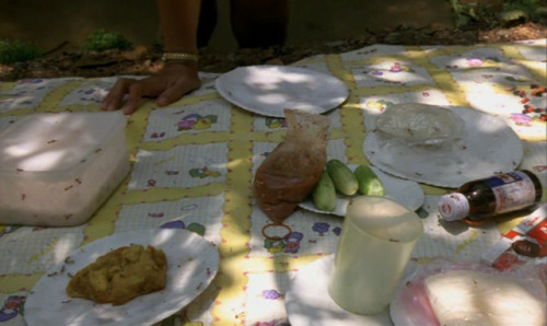 synctest: Blissfully Yours (Apichatpong Weerasethakul, 2002)