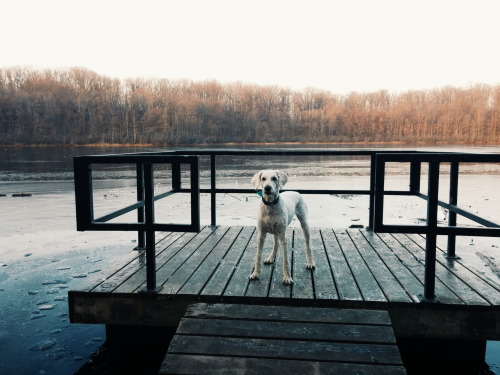danielodowd:  jonfitzsimmons