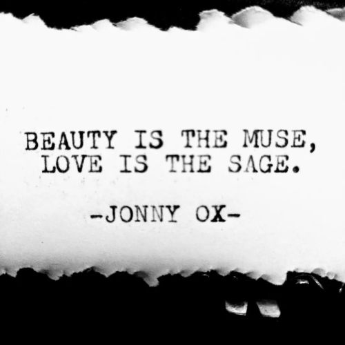 Beauty is the muse, love is the sage. -Jonny Ox #muse #sage #philosophy #beauty #love #jonnyox #phil