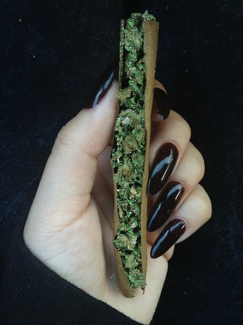 WHATEVER on Tumblr: Image tagged with blunt, joint, weed