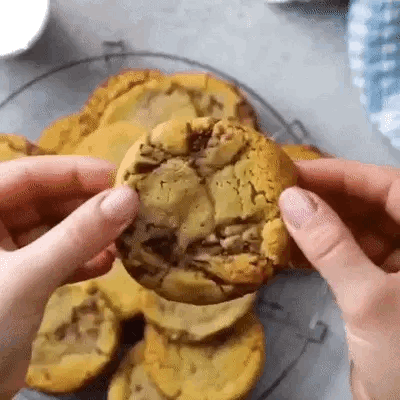 Chocolate Chip Cookie Stimboard