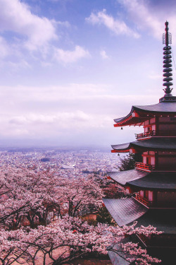 wnderlst:  Chureito Pagoda, Japan | Rungthum