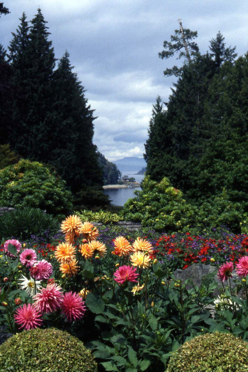 heyfiki:Butchart Garden Vista by Bachspics on Flickr.Vista to the Pacific from Butchart Gardens.