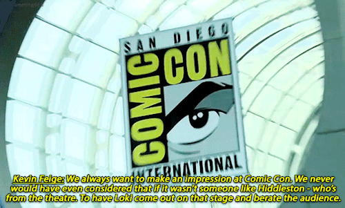 ‘The people that are coming to Comic Con, they’re there because they’re true fans. They love these c
